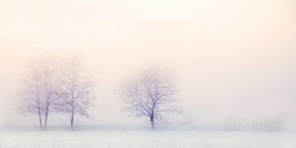 Peaceful Stay Background